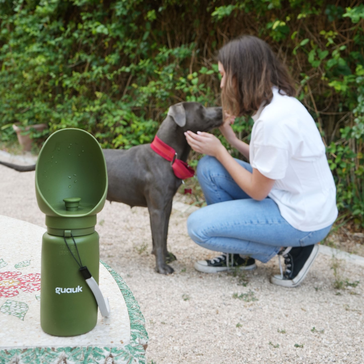 Bebedero Portátil y Plegable para Perros