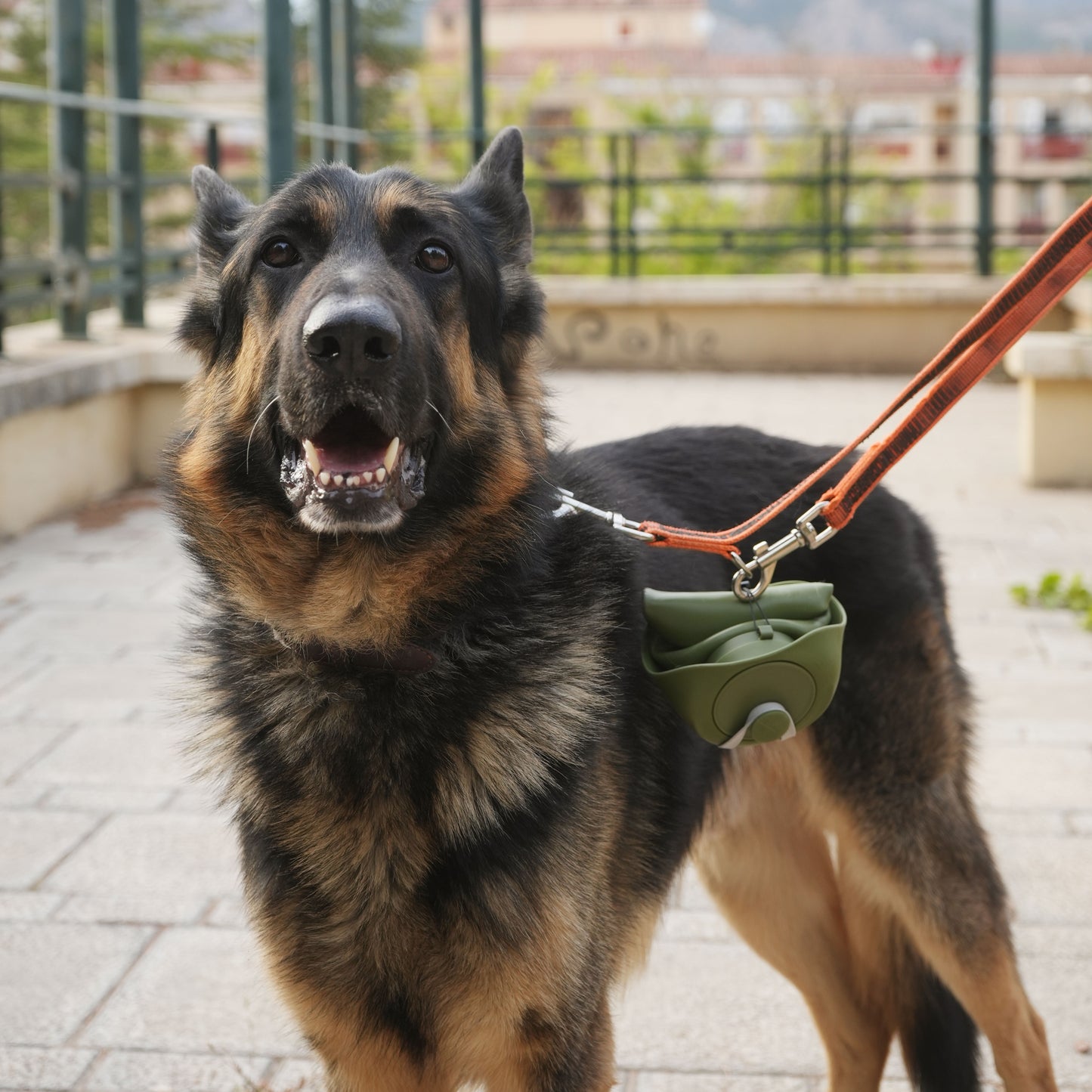 Bebedero Portátil y Plegable para Perros